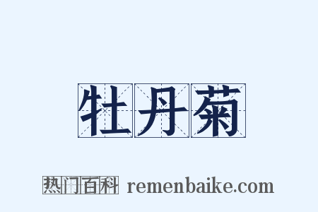 牡丹菊是什么意思的图片